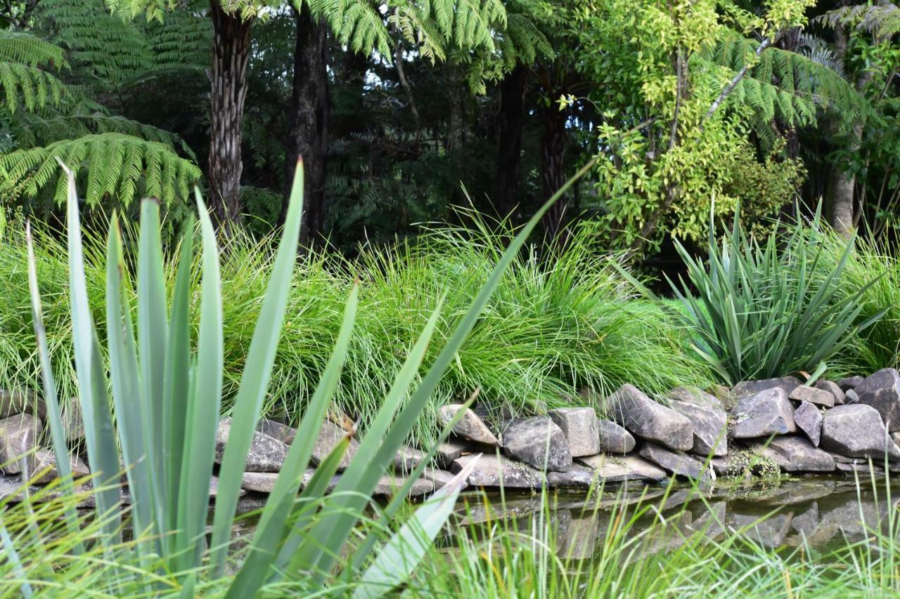 Atea Lodge Coromandel Luaran gambar